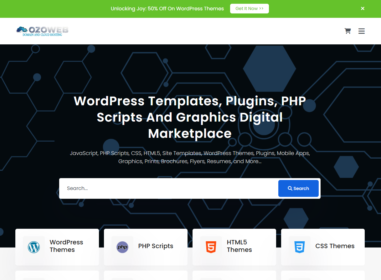 Ozoweb.com — digital marketing project